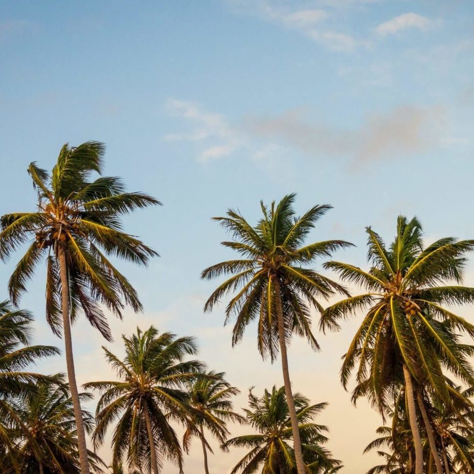 Les Iles Caraïbes Magazine - Crédit : Thomas Lefebvre